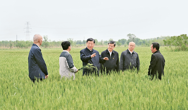 2023年5月11日至12日，中共中央總書記、國家主席、中央軍委主席習近平在河北考察，并主持召開深入推進京津冀協(xié)同發(fā)展座談會。這是11日上午，習近平在滄州市黃驊市舊城鎮(zhèn)仙莊片區(qū)旱堿地麥田考察時，同種植戶、農技專家親切交流。 新華社記者 李學仁/攝